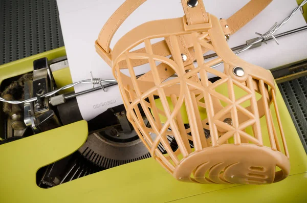 basın özgürlüğü