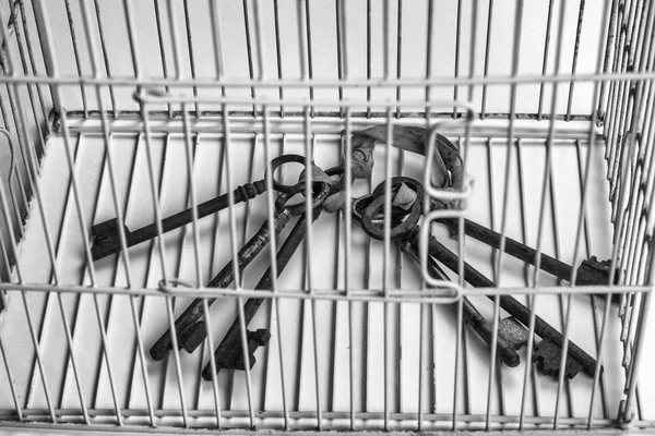 Keys locked in a cage — Stock Photo, Image