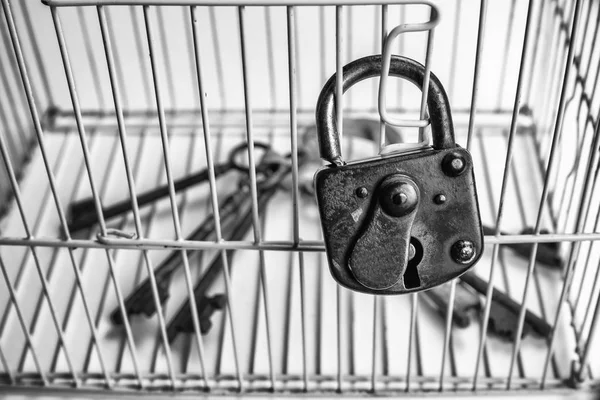 Keys locked in a cage — Stock Photo, Image