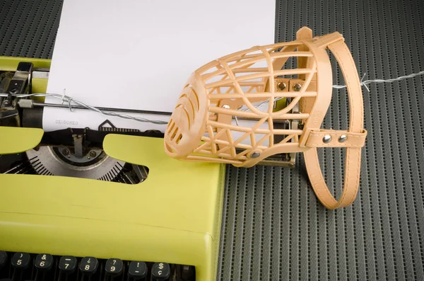 basın özgürlüğü