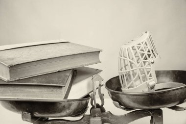 Konuşma özgürlüğü kavramı