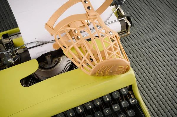 basın özgürlüğü