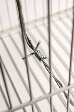 Basın özgürlüğü kavramı