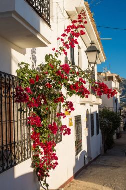 Altea eski şehir