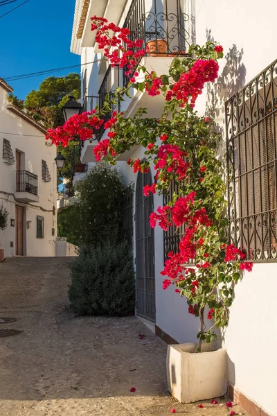 Altea oude stad — Stockfoto