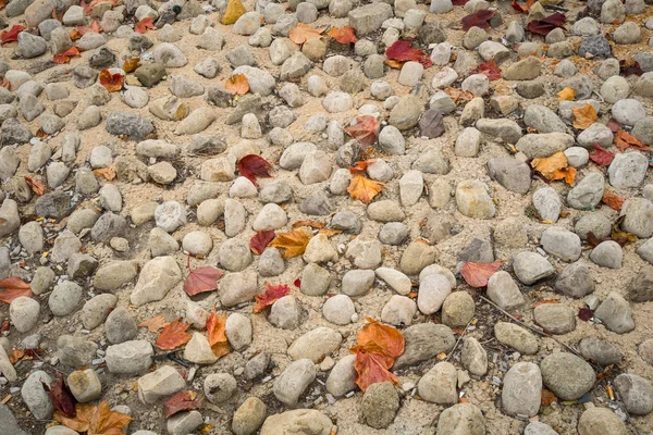 Rustic Pebbled Pavement Autumn Season Fallen Leaves — Stock Photo, Image