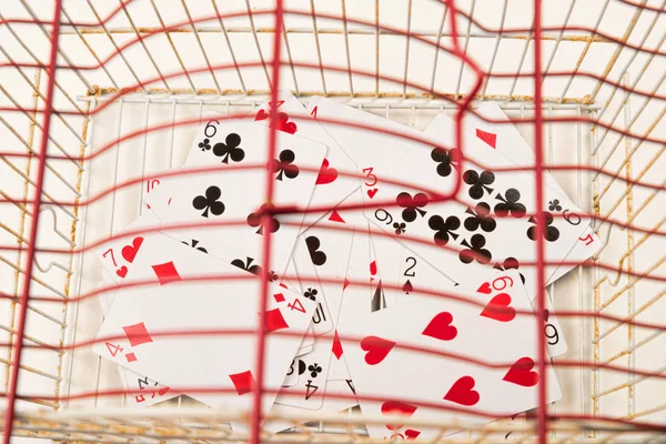 Cartões dentro de uma jaula — Fotografia de Stock