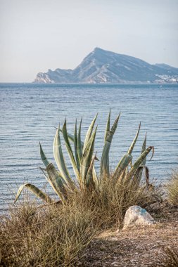 Altea defne, Costa Blanca