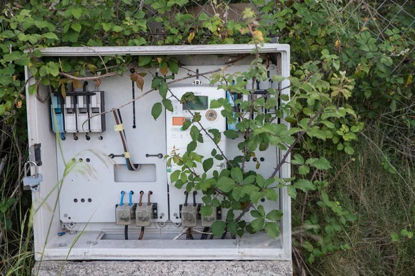 Overgrown switchboard — Stock Photo, Image
