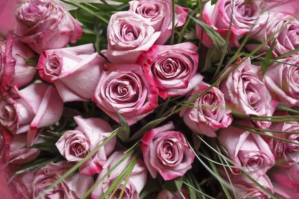Bouquet di rose rosa — Foto Stock