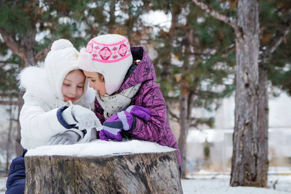 Дві дівчини розмовляють серед зимового парку — стокове фото