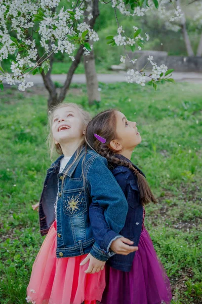 Duas meninas gostando de pétalas caindo no jardim da primavera — Fotografia de Stock