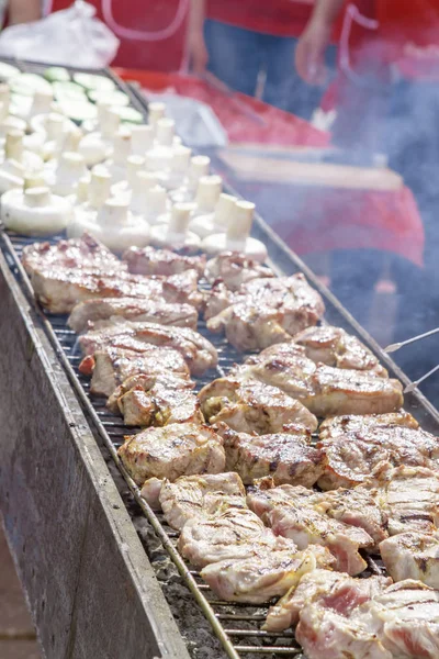 Assorted delicious grilled meat with vegetable — Stock Photo, Image