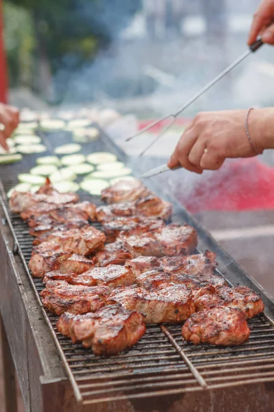 Assorted delicious grilled meat with vegetable — Stock Photo, Image