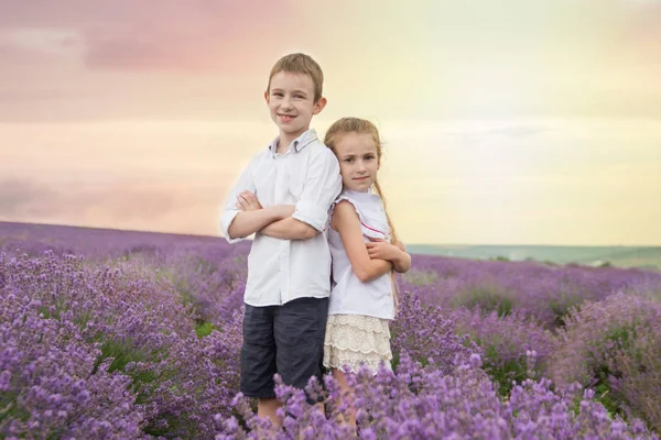 Happy brother and sister in lavender summer field — Stock Photo, Image