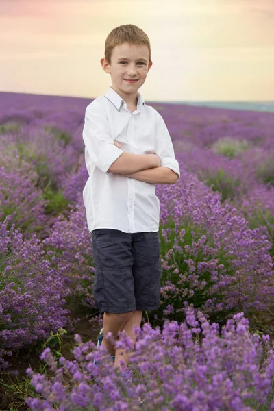 Sorrindo menino em avender campo por do sol — Fotografia de Stock