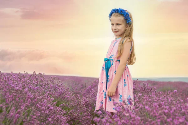 Mädchen zwischen Lavendelfeldern — Stockfoto