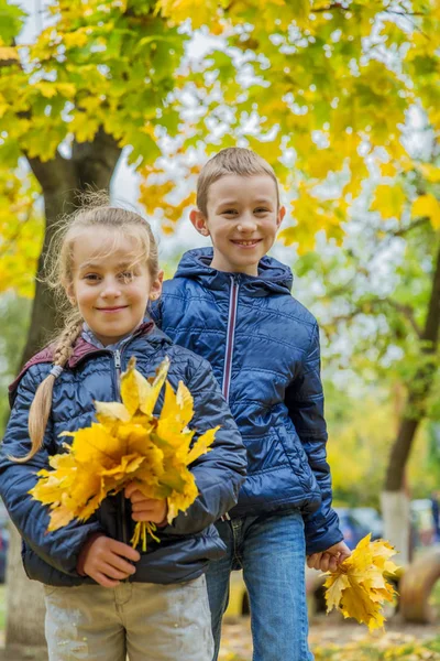 Dzieci, zabawy w lesie jesienią — Zdjęcie stockowe