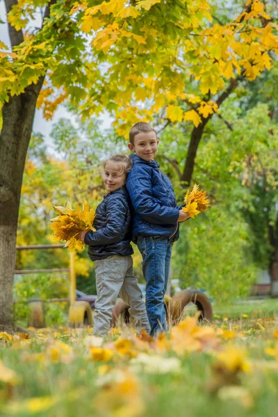 Sestra a bratr stojící zády na podzim — Stock fotografie