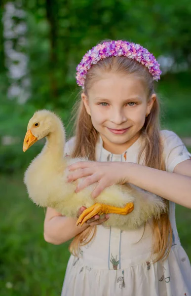 Stående flicka med ankungar holding — Stockfoto