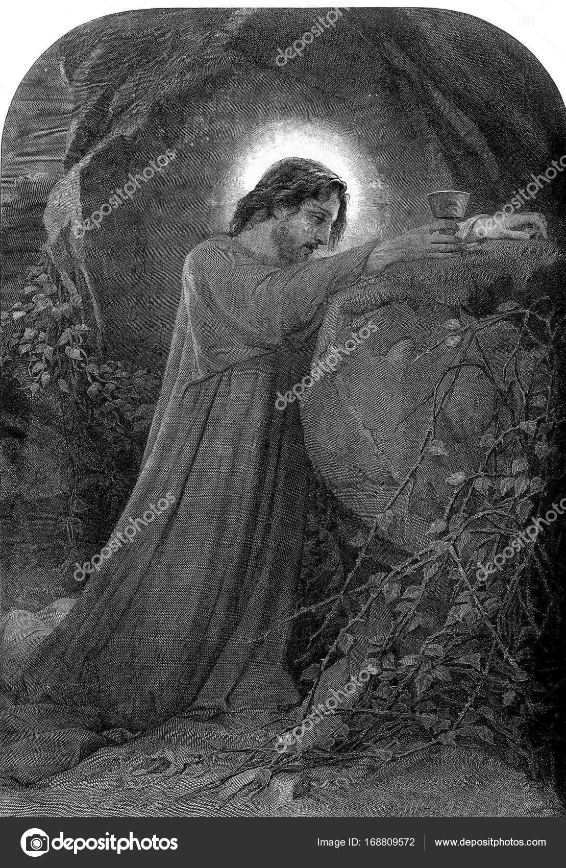 Garden Of Gethsemane Jesus Praying