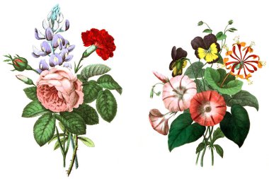 İki Çiçek demetleri.