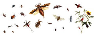 Beyaz bir arka plan üzerinde hata gösteren resim.