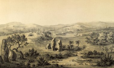 Güney America.Old görüntü doğası