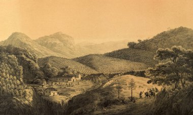 Güney America.Old görüntü doğası