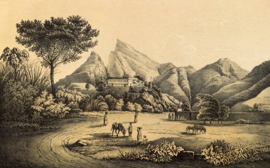 Güney America.Old görüntü doğası