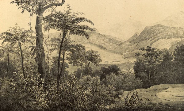 Φύση Της Νότιας America Old Εικόνας — Φωτογραφία Αρχείου