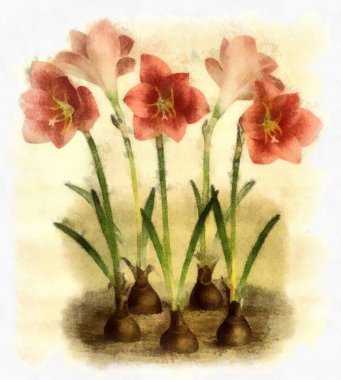 İşlemedeki bitki ve çiçeklerin tasviri