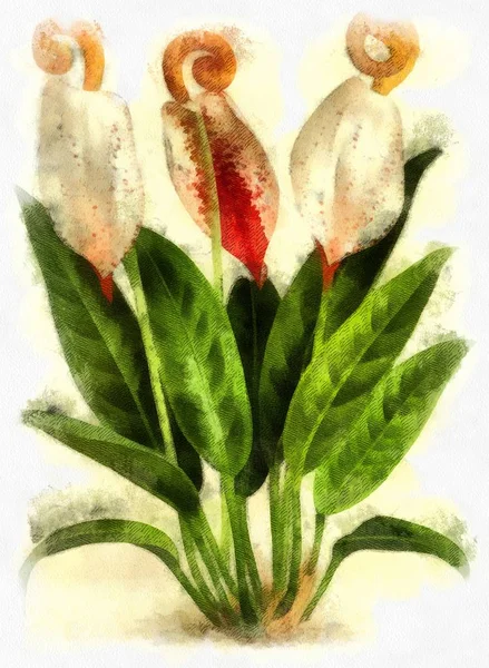 Illustration Von Pflanzen Und Blumen Stich — Stockfoto