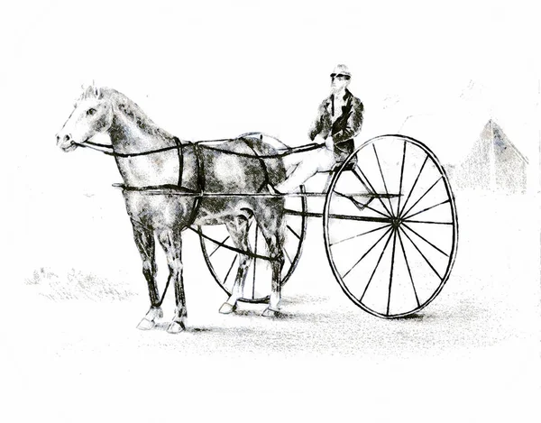 馬だレトロで古いイメージ ロイヤリティフリーのストック画像