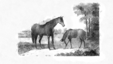 At mı? Retro ve eski resim