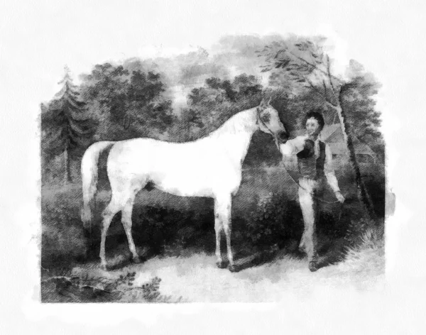 Кінь Ретро Старе Зображення — стокове фото