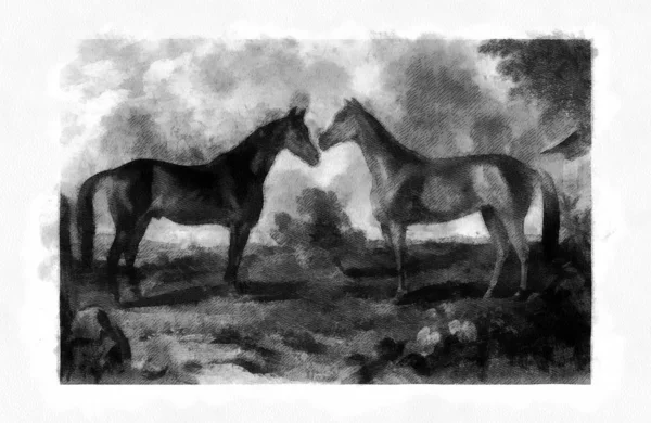 Кінь Ретро Старе Зображення — стокове фото