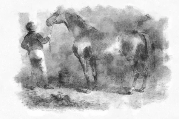 Кінь Ретро Старе Зображення Ліцензійні Стокові Фото