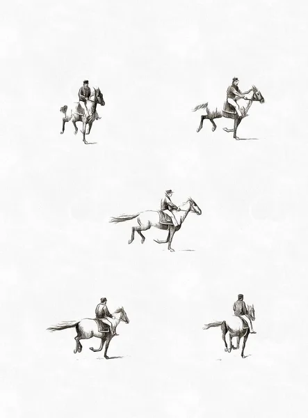Cavalo Imagem Retrô Antiga — Fotografia de Stock