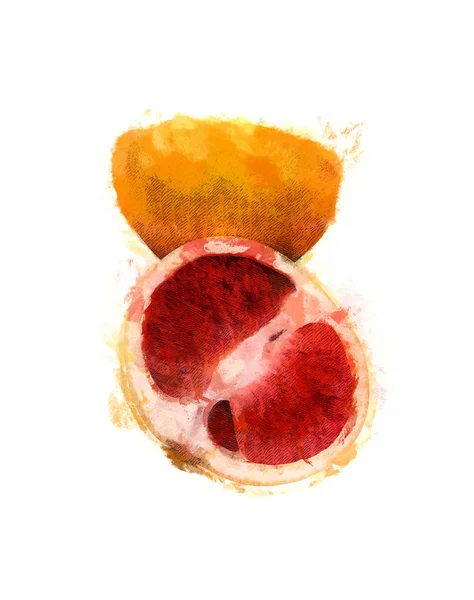Citrusfélék Képe Fehér Alapon Akvarell Illusztráció — Stock Fotó