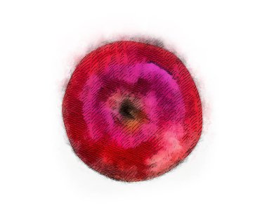 Beyaz arkaplanda kırmızı elma.