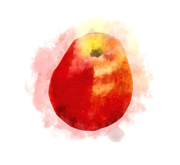 Red Apple on white background.