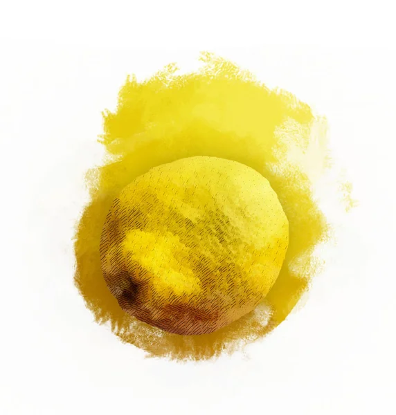 Citrusfélék Képe Fehér Alapon — Stock Fotó