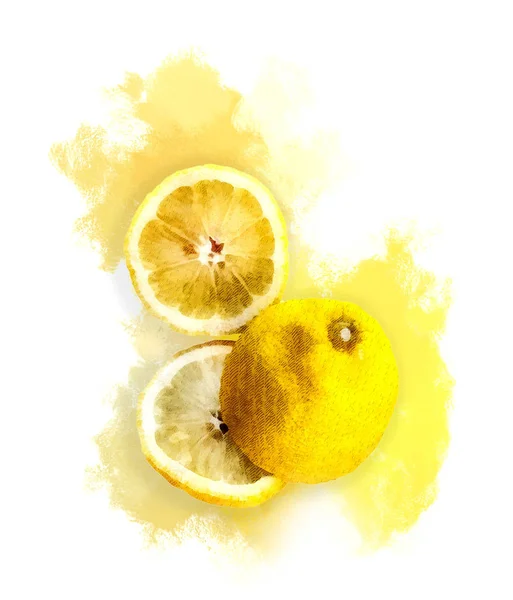 Picture Citrus White Background — Stock Photo, Image