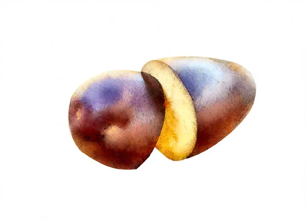 Eggplant Painted White Background — ストック写真