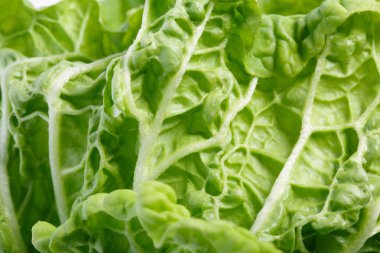 doğal yeşil vitaminler