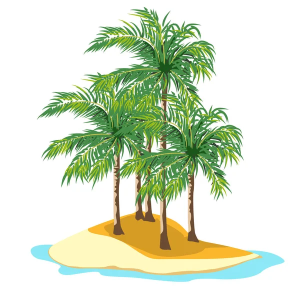 Ostrov a palm stromy na bílém pozadí. — Stockový vektor