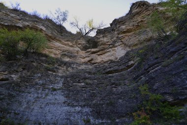 Tipova (Oda ipova.) Bir köy Rezina Moldova bölge.