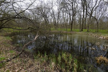 Tula şehir esas olarak doğru Samara Nehri kıyısında yer alır