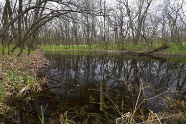 Tula şehir esas olarak doğru Samara Nehri kıyısında yer alır